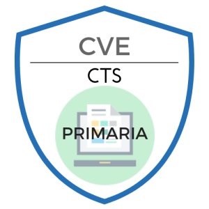 CVE - CTS 10 (1)